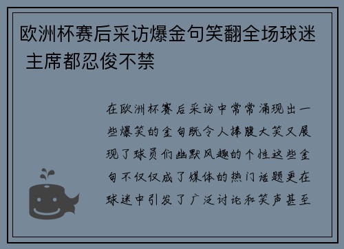 欧洲杯赛后采访爆金句笑翻全场球迷 主席都忍俊不禁