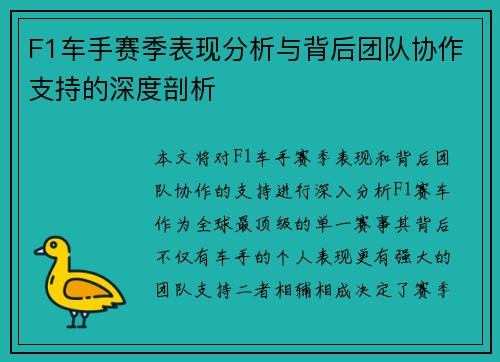 F1车手赛季表现分析与背后团队协作支持的深度剖析